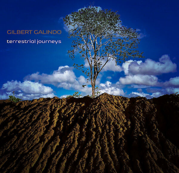 Gilbert Galindo: Terrestrial Journeys
